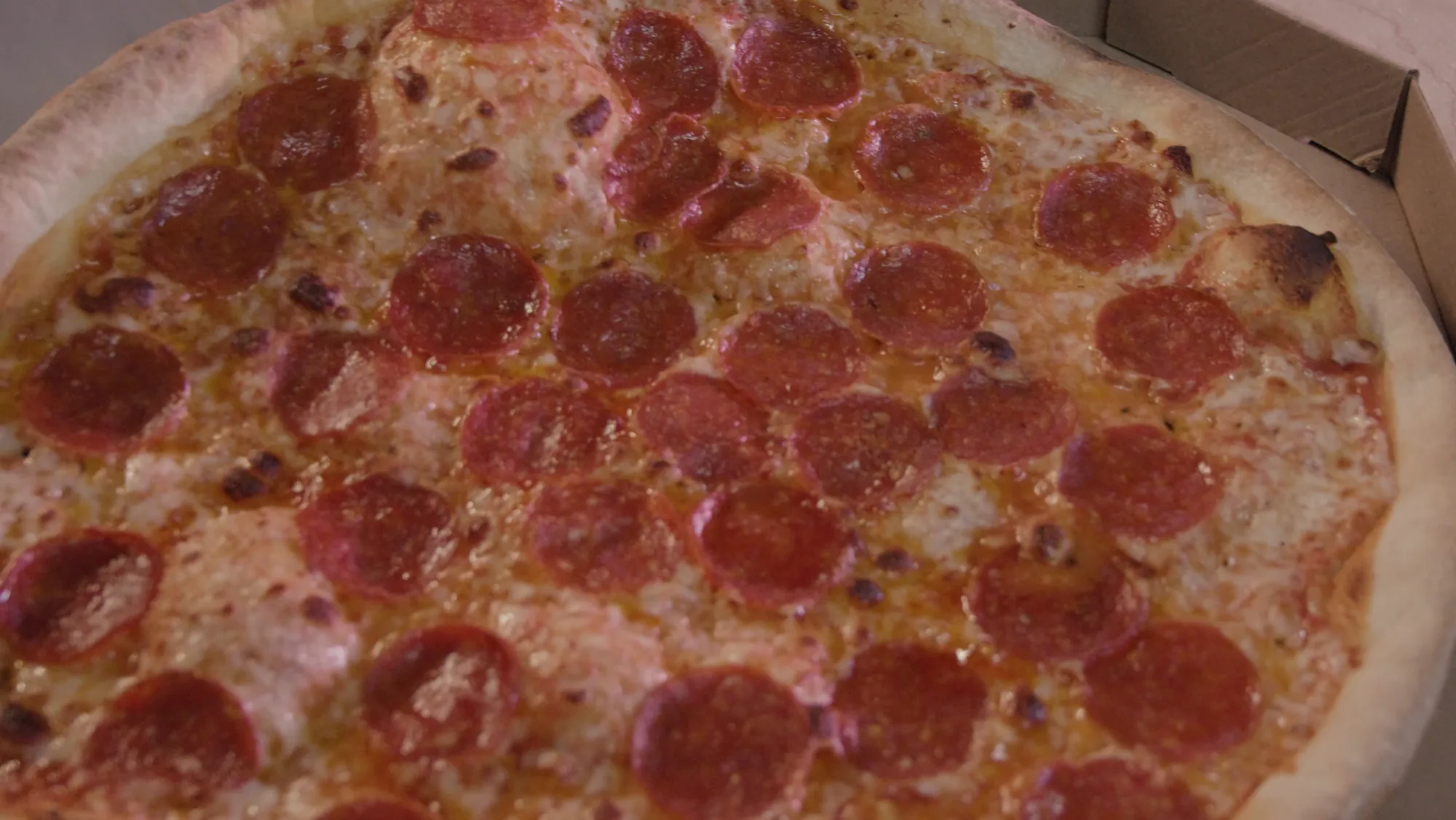 A blistered pizza fresh from the oven